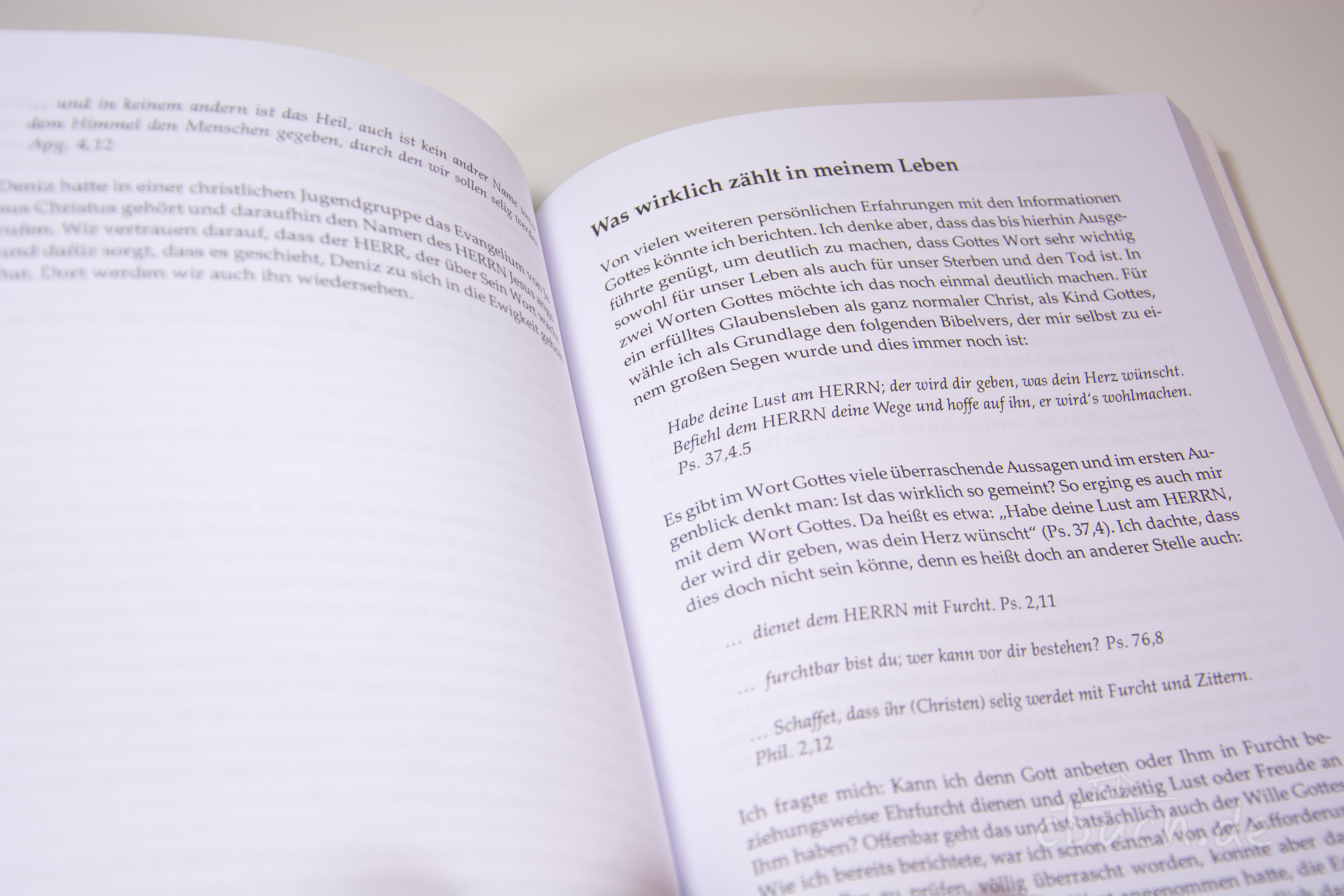 Flock: Mein Weg zum Ziel (Autobiografie)