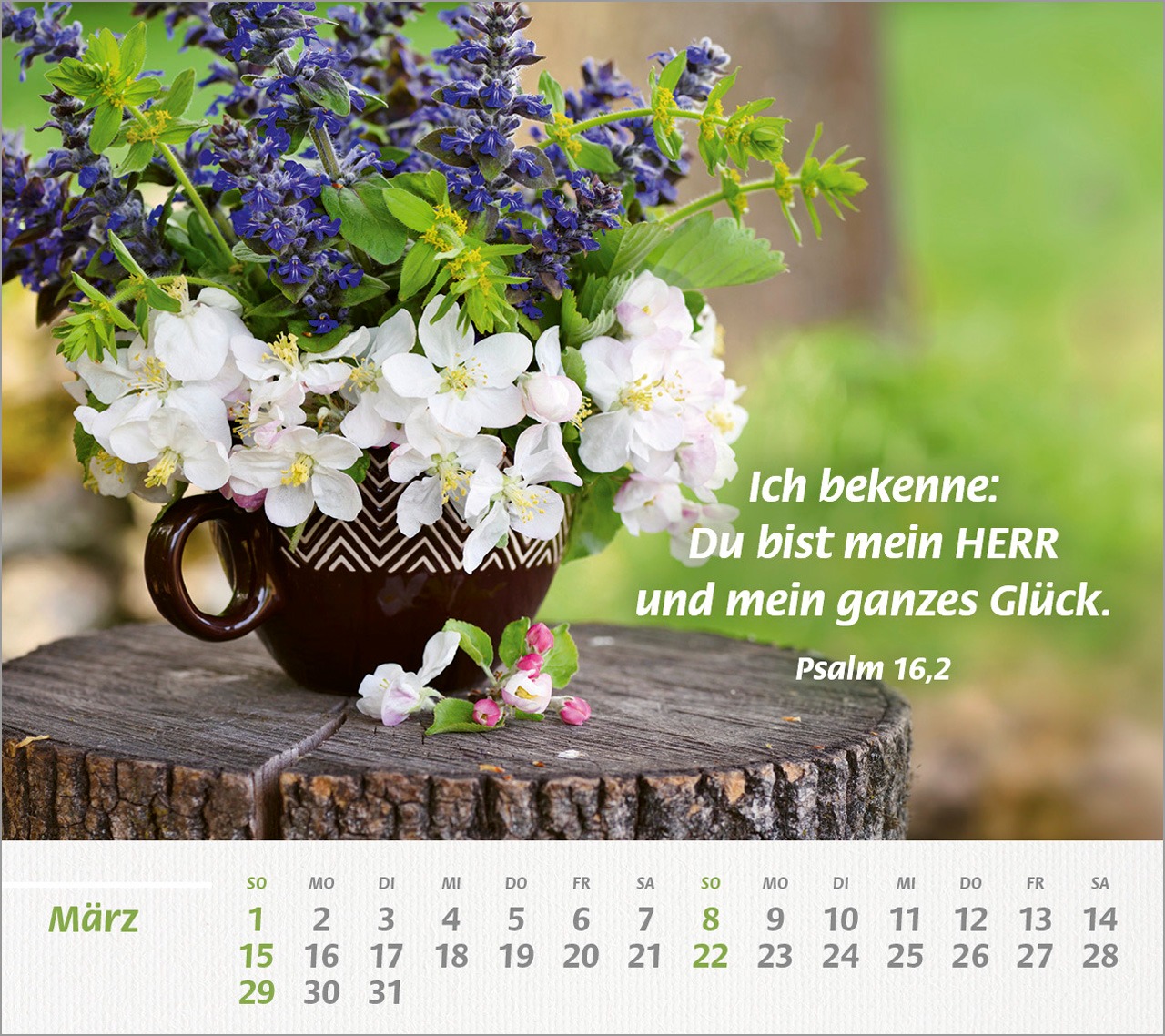 Blumen in Tasse auf Baumstamm mit Psalm 16,2 Text