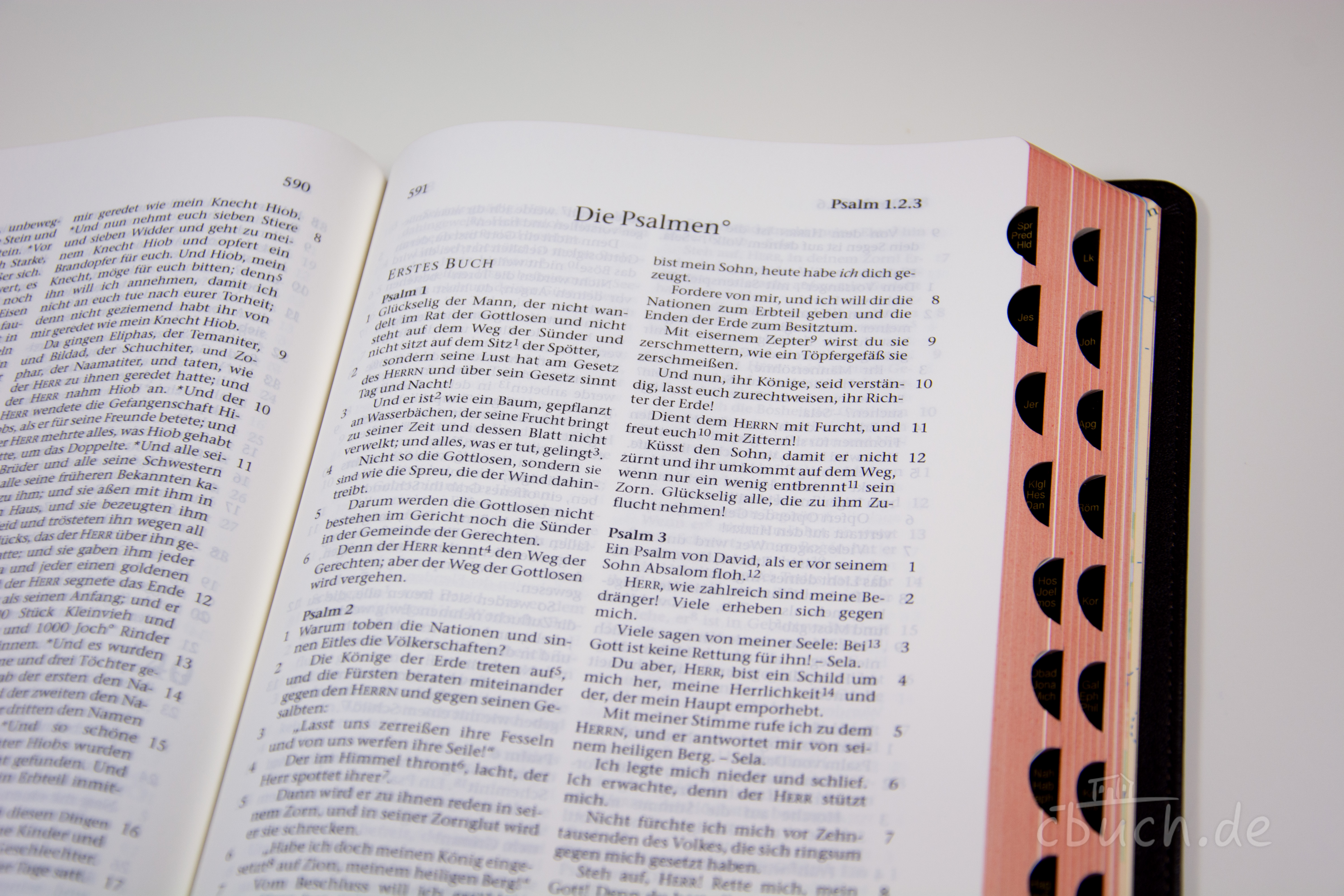 Elberfelder Bibel Edition CSV - Standardbibel, Rindleder, dunkelbraun, Rotgoldschnitt mit Griffregister