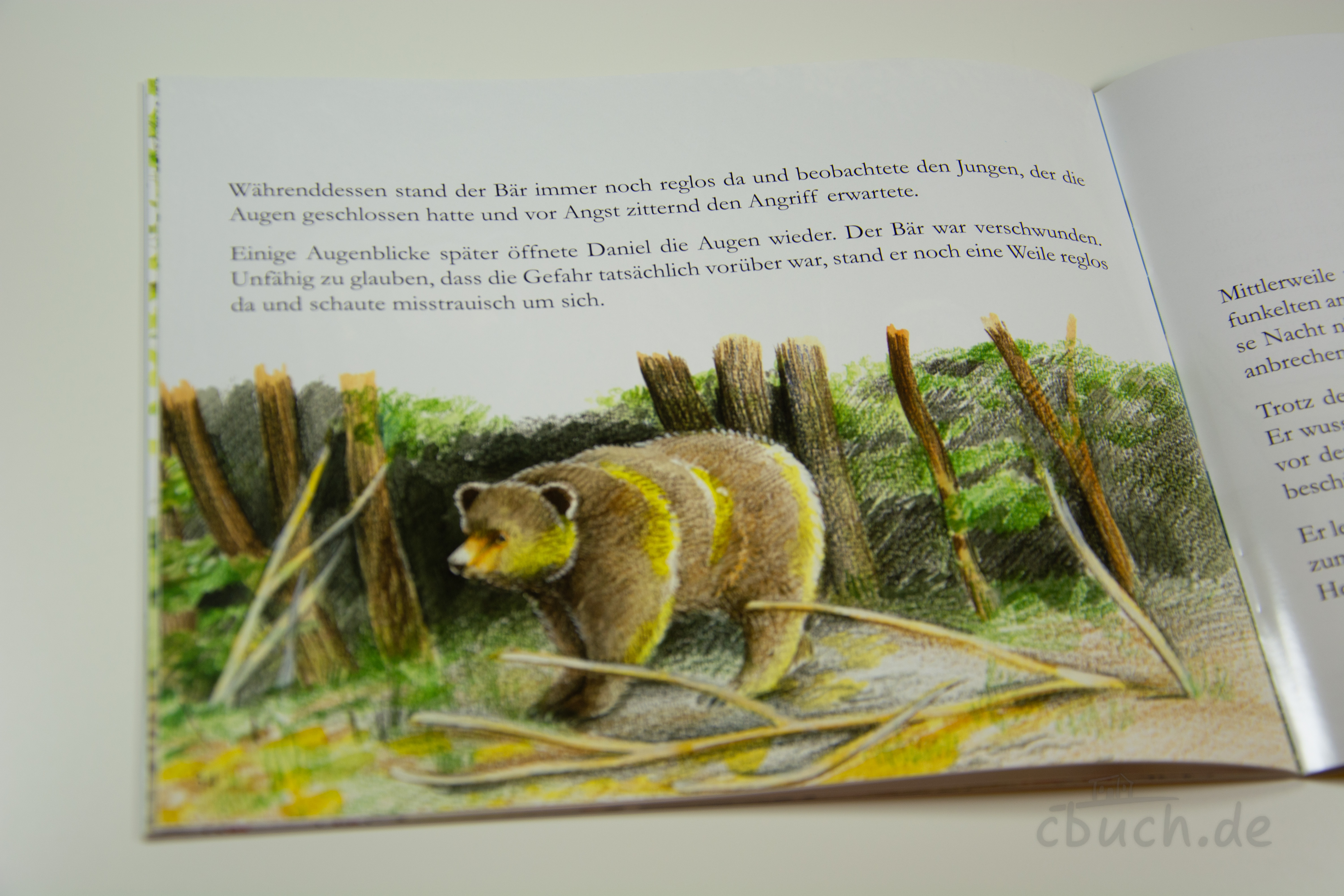 Die Nacht im Wald - Kinder in der Ukraine (Heft 1) Kinderheft mit farbiger Waldszene und Bär Innenseite aus „Die Nacht im Wald - Kinder in der Ukraine (Heft 1)“ von Samenkorn: farbige Illustration eines Bären im Wald zur christlichen Missionsgeschichte für Kinder über Daniel und die Ukraine.