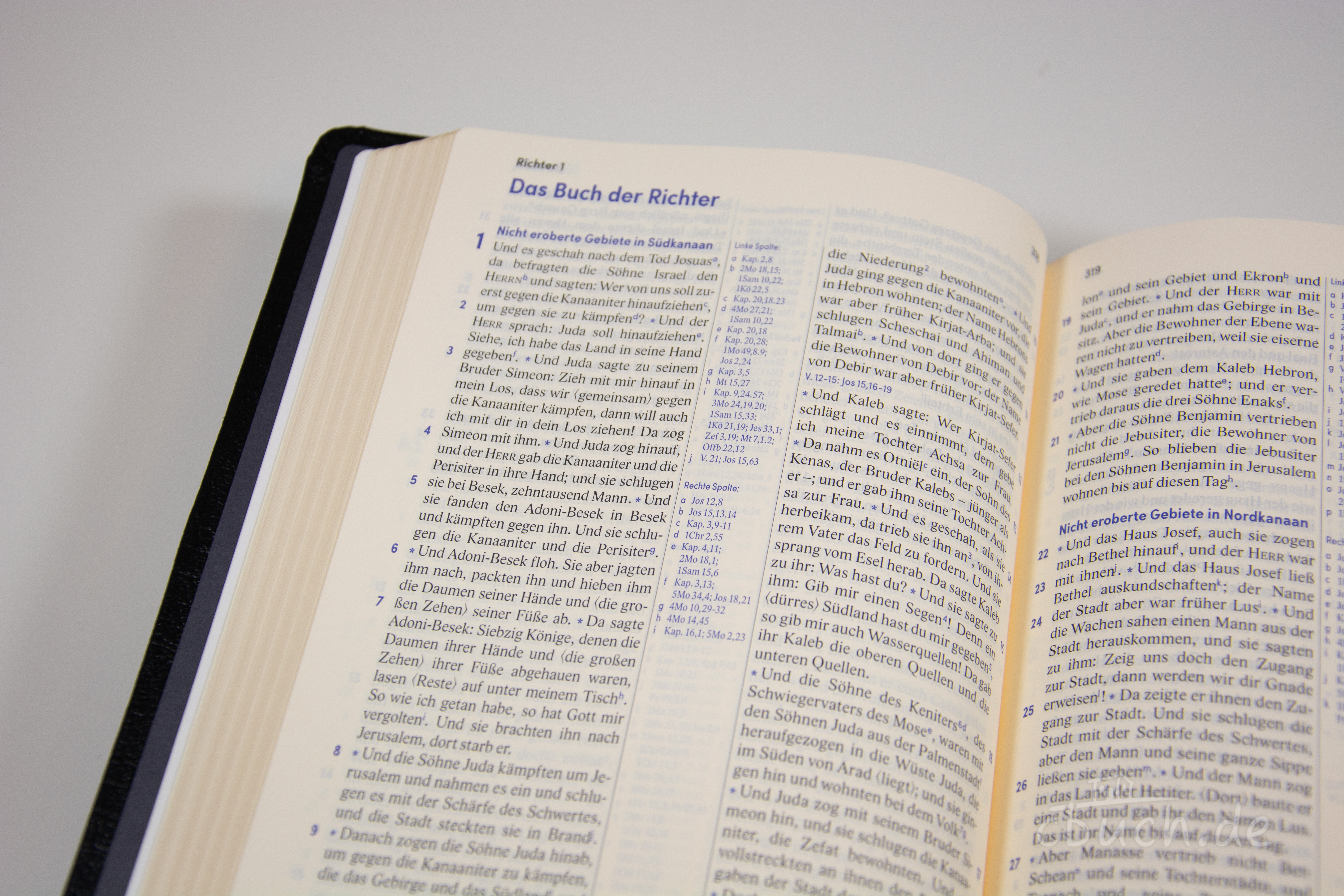 Revidierte Elberfelder Bibel - Standardausgabe, Leder-Goldschnitt