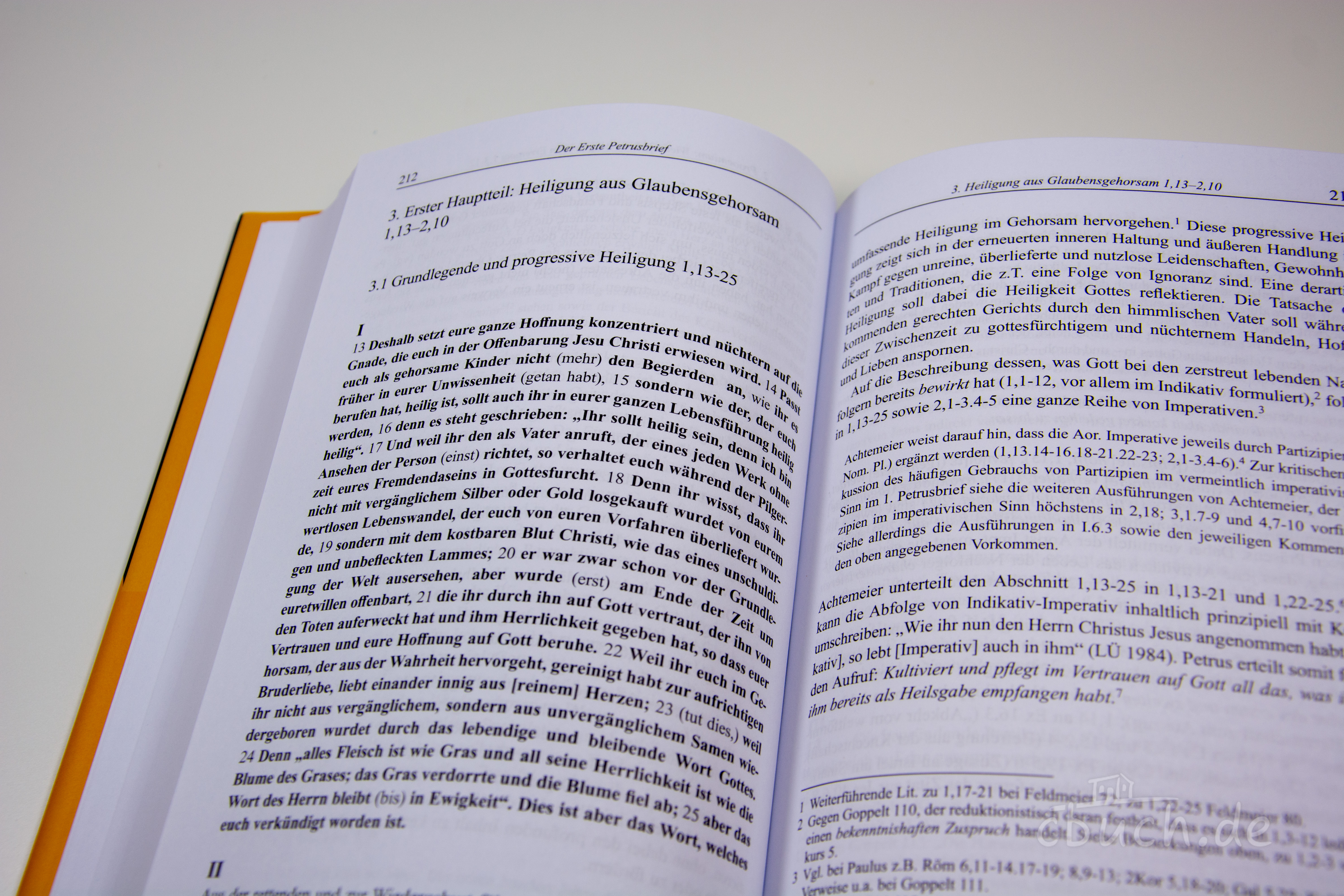 Hans F. Bayer: Der Erste Petrusbrief