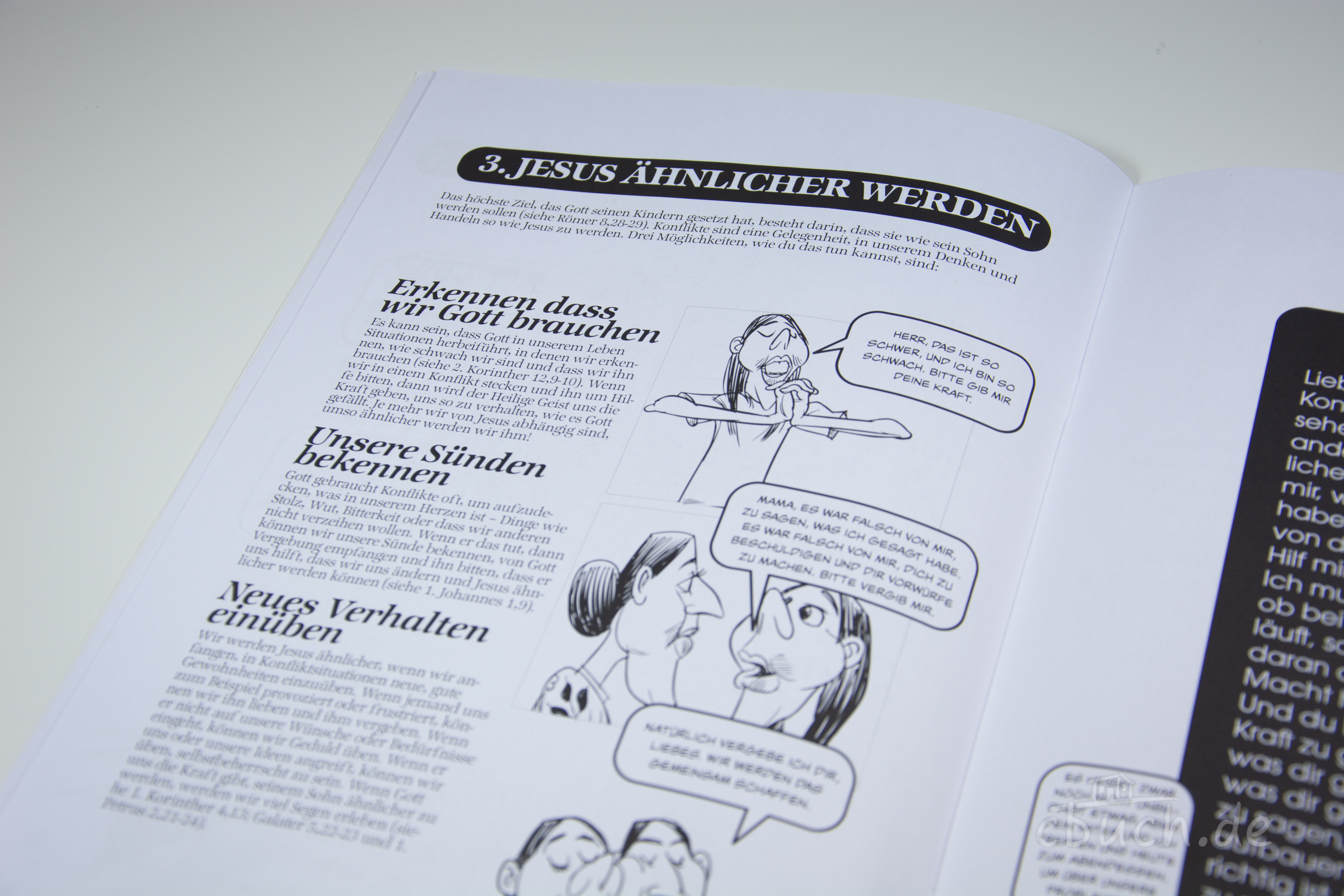 Corlette Sande: Handbuch für Friedensstifter - Comic Heft 6: Der Riese Familienkrise Corlette Sande: Handbuch für Friedensstifter - Comic Heft 6: Der Riese Familienkrise