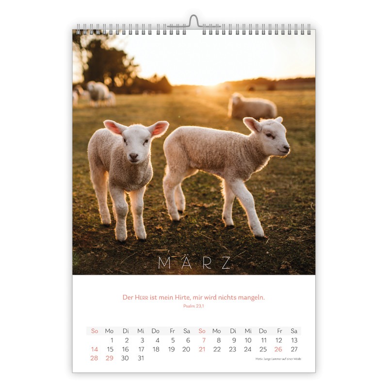 Natur Kalender 2027 - CSV