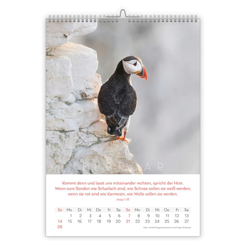 Natur Kalender 2027 - CSV Natur Kalender 2027 - CSV
