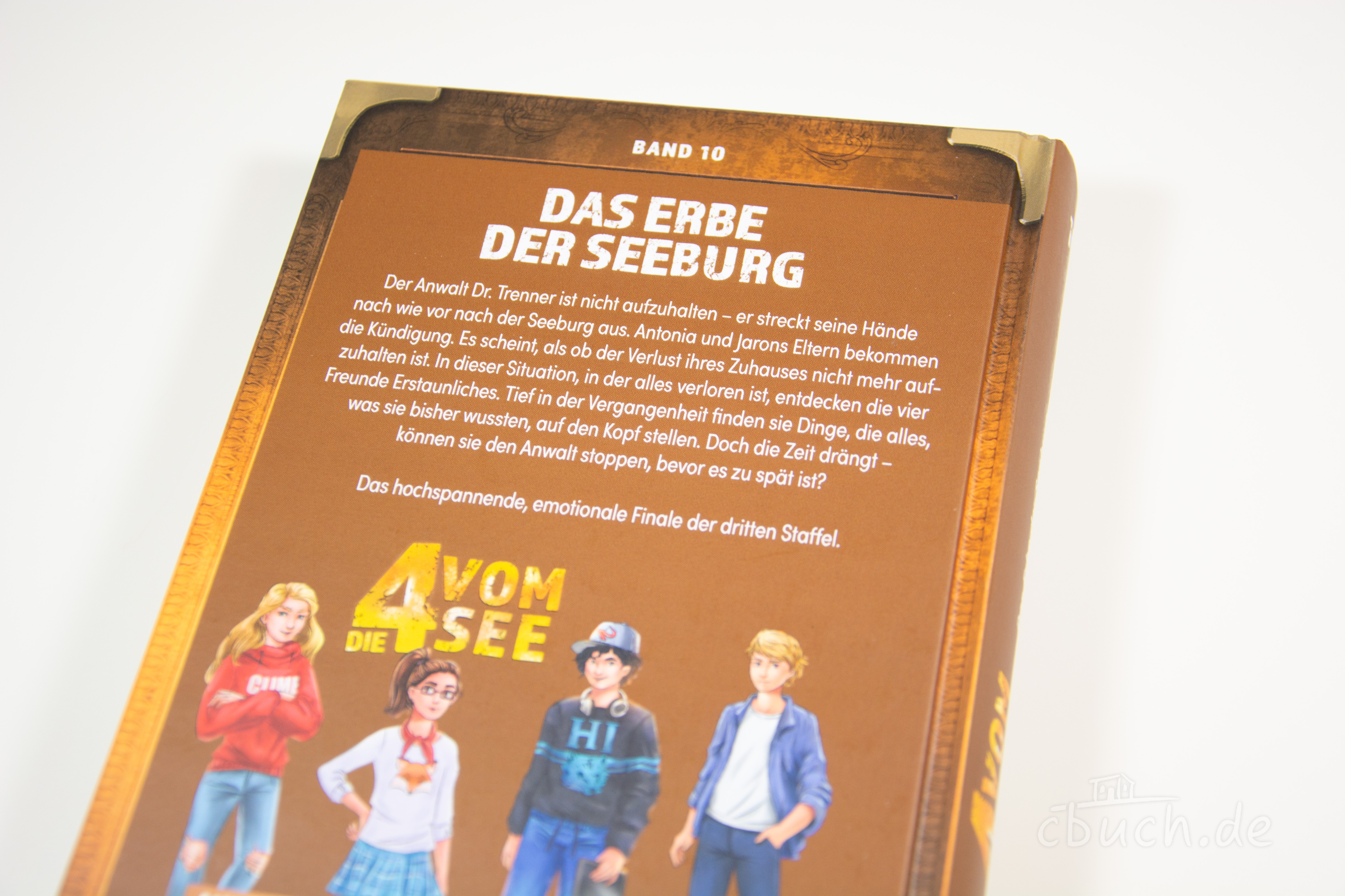 Lombardi/Binder: Das Erbe der Seeburg