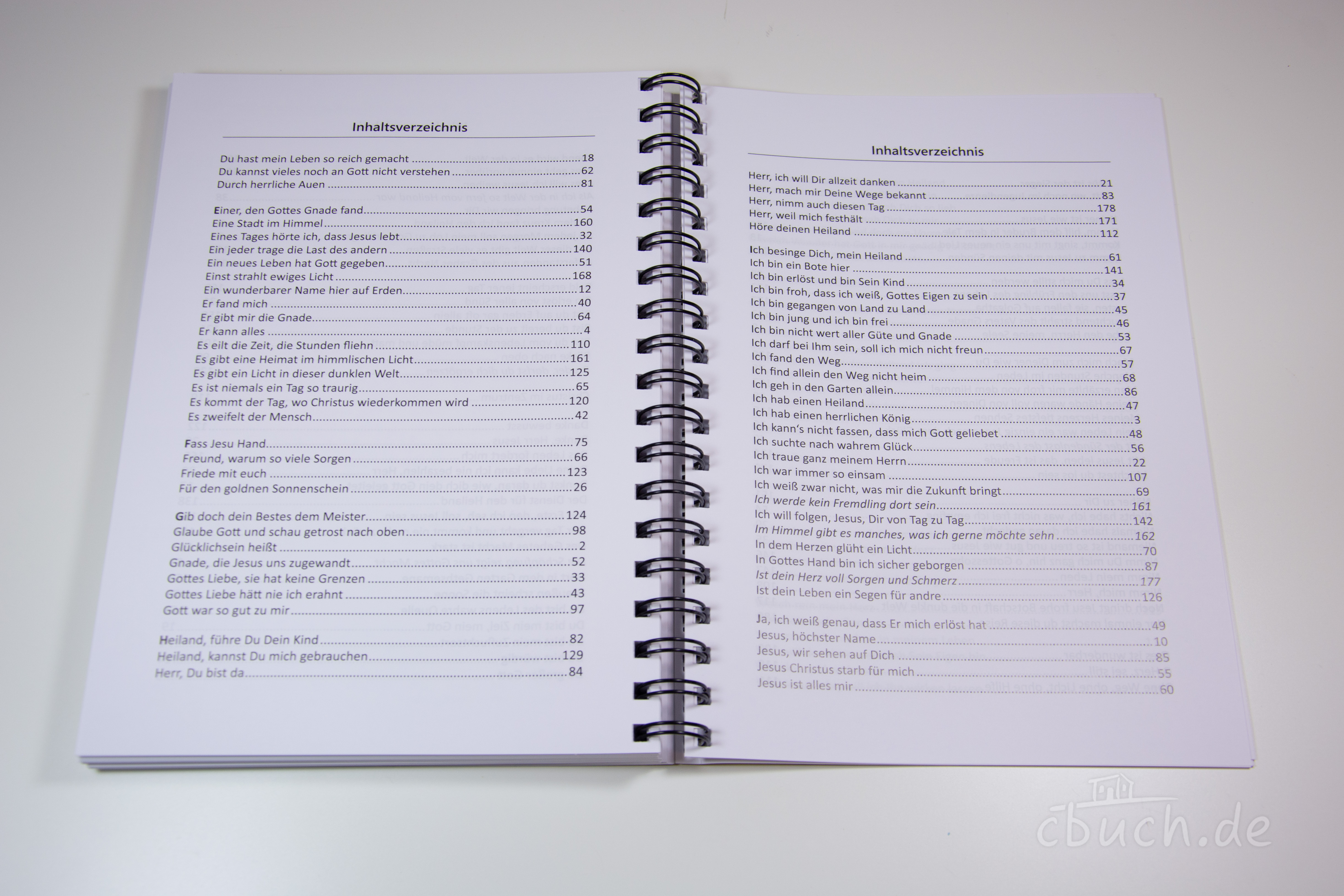 Glücklich sein nur im Herrn - Jugendliederbuch (Ringbuch)