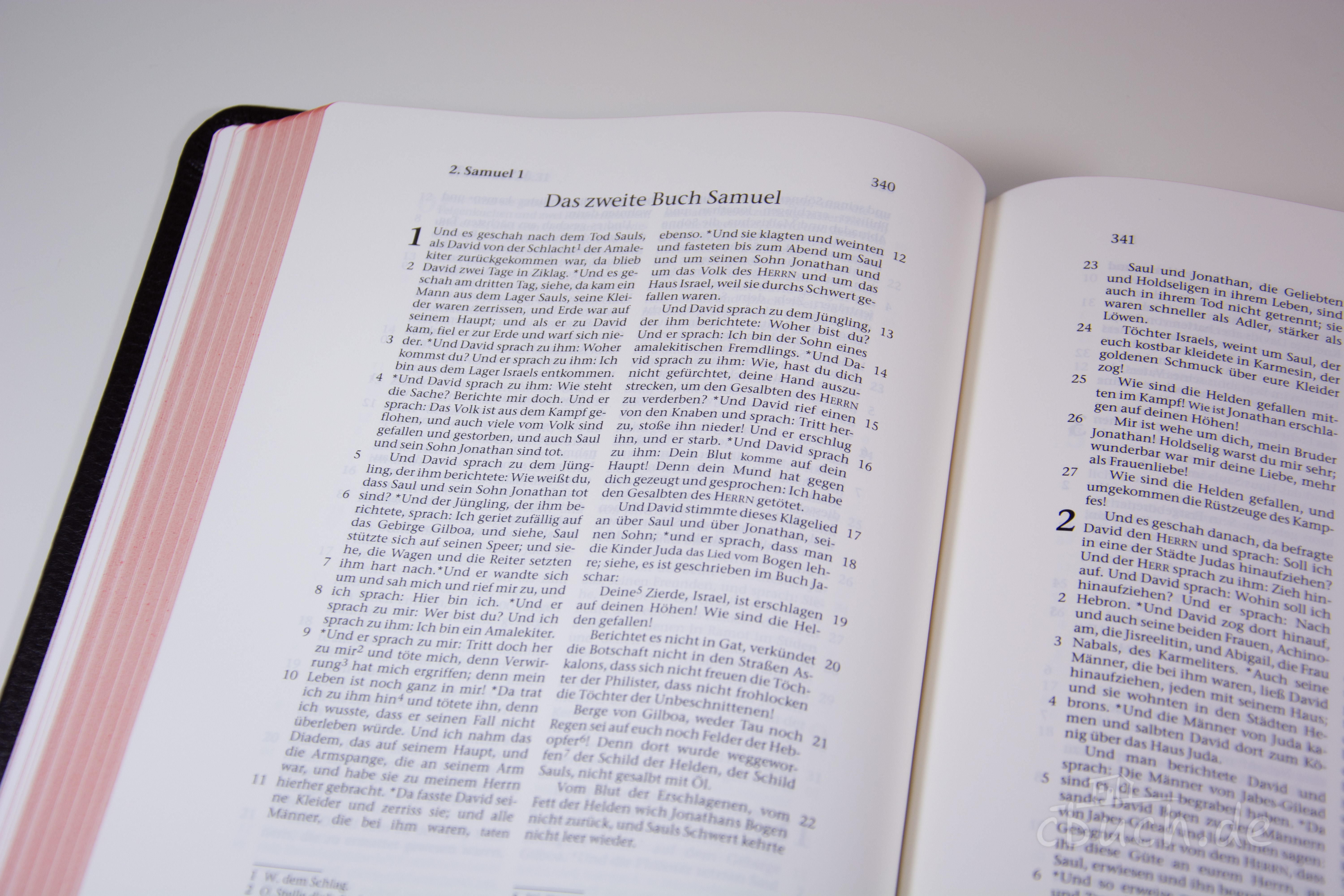 Elberfelder Bibel Edition CSV - Schreibrandbibel, größere Ausgabe, Rindleder (weich) dunkelbraun, Rotgoldschnitt Elberfelder Bibel Edition CSV - Schreibrandbibel, größere Ausgabe, Rindleder (weich) dunkelbraun, Rotgoldschnitt
