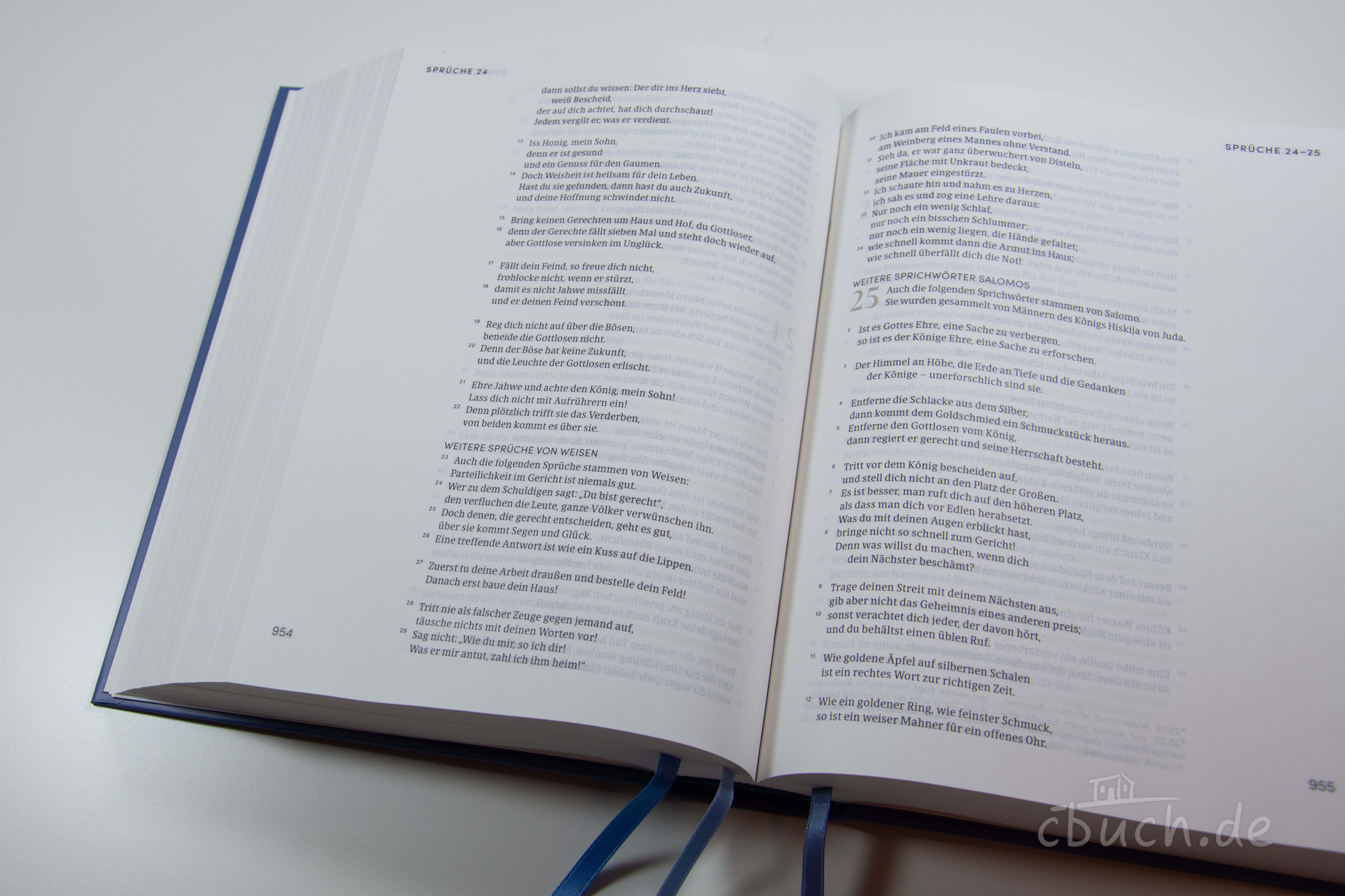 NeÜ LIEBEZURBIBEL (Schreibrandbibel Promise)