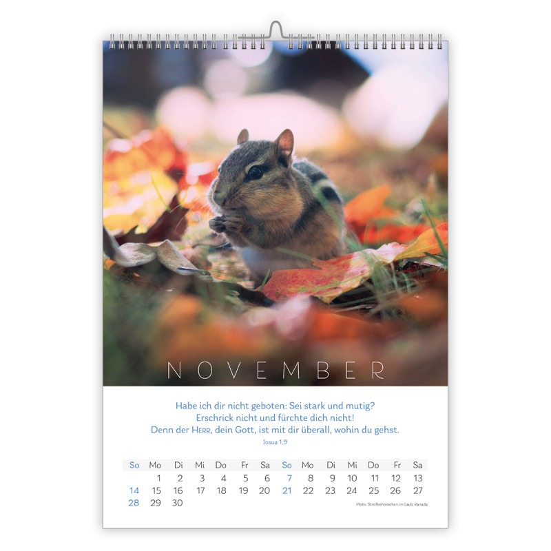 Natur Kalender 2027 - CSV