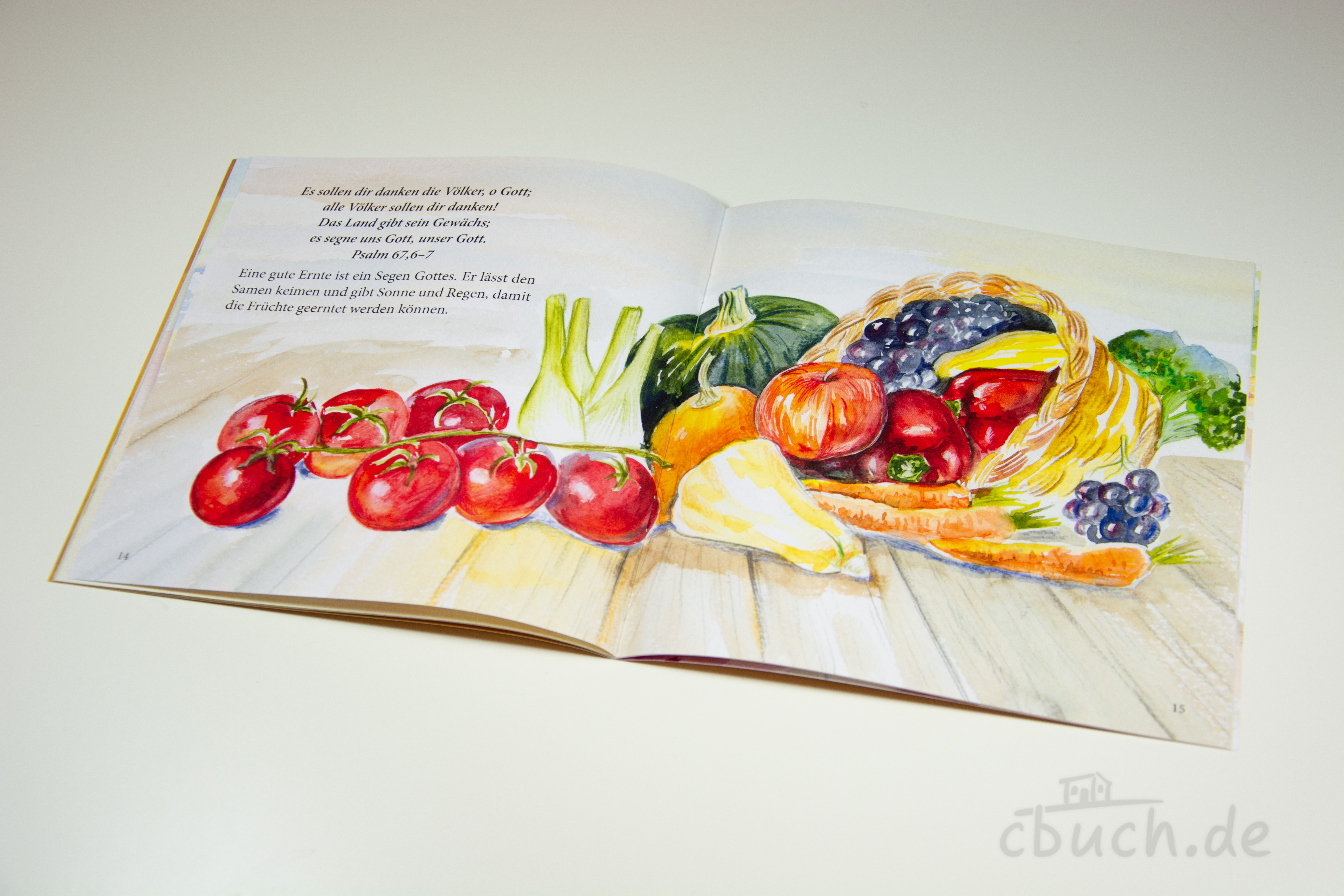 Illustration von Tomaten, Kürbis, Karotten und Trauben in ei