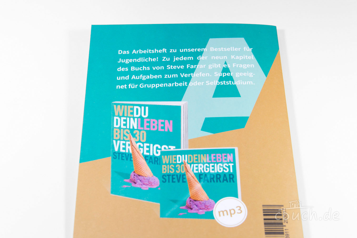 Arbeitsheft zu Steve Farrar Buch für Jugendliche Arbeitsheft zu Steve Farrar Buch mit Eis Illustration