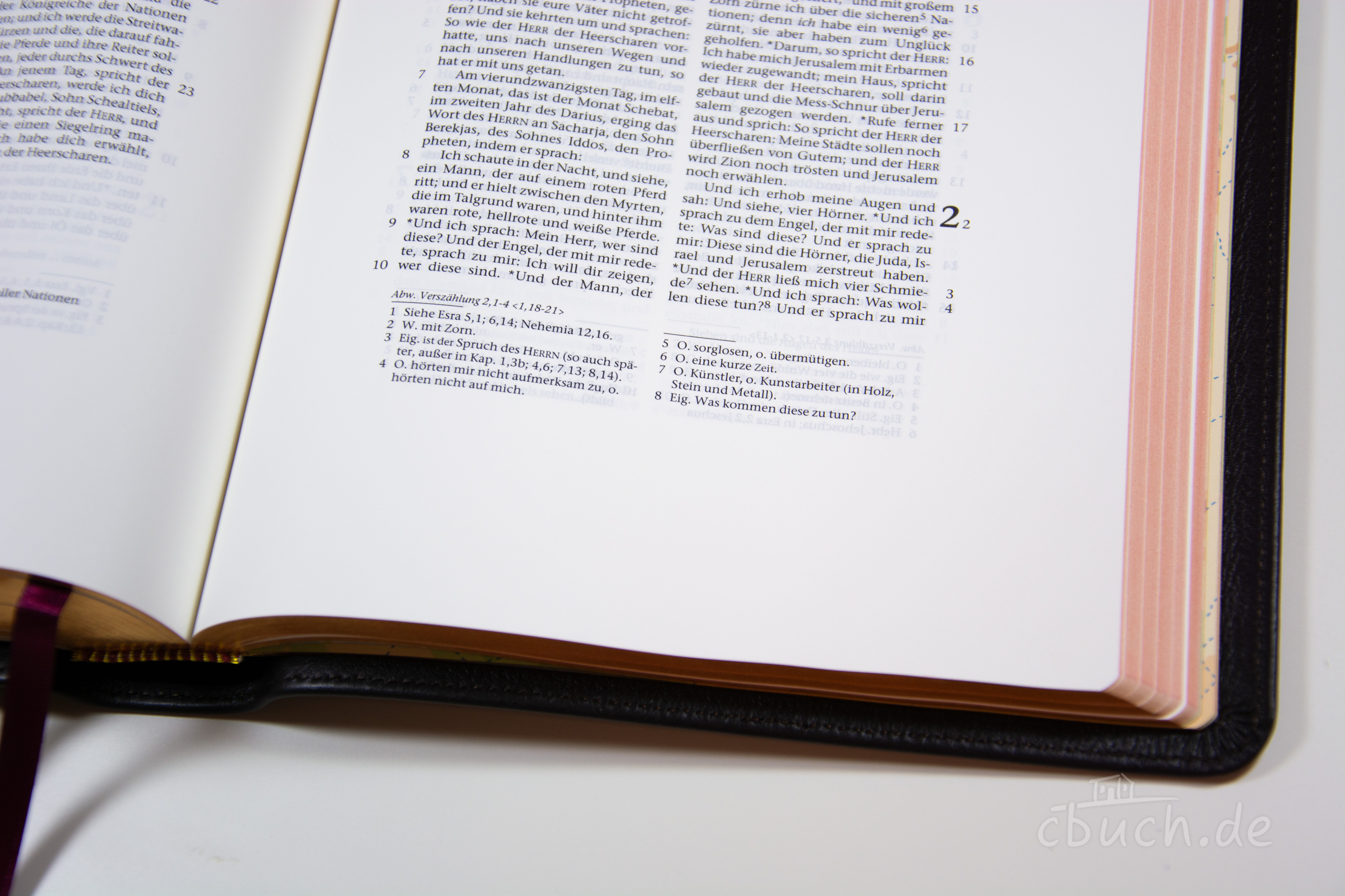 Elberfelder Bibel Edition CSV - Schreibrandbibel, kleinere Ausgabe, Rindleder (weich) dunkelbraun, Rotgoldschnitt