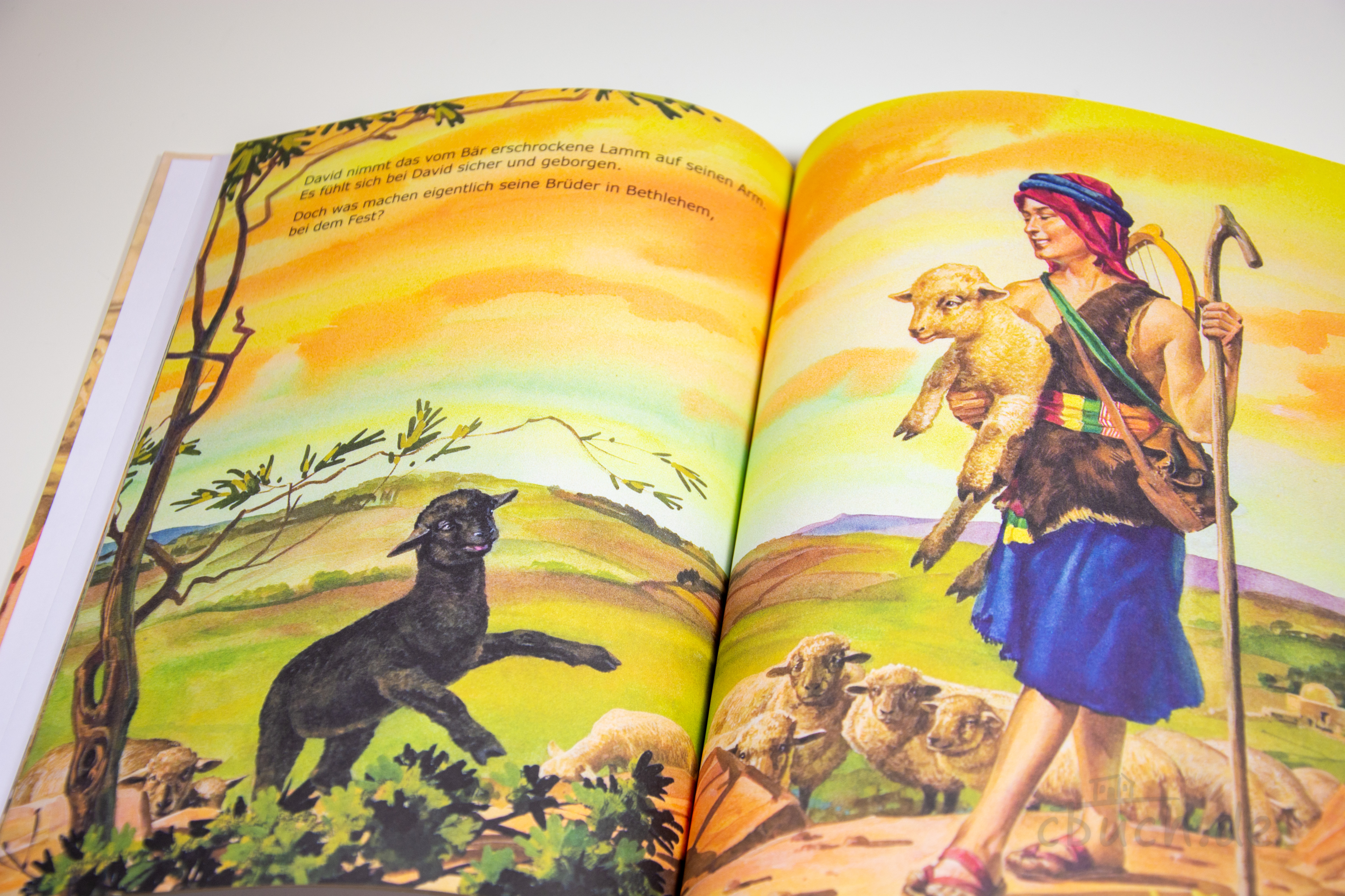 Aufgeschlagenes Kinderbuch „Meine Lieblingsgeschichten: David - der jüngste Bruder“ von CMV mit farbiger Illustration von David als Hirte mit Schafen und Lamm.