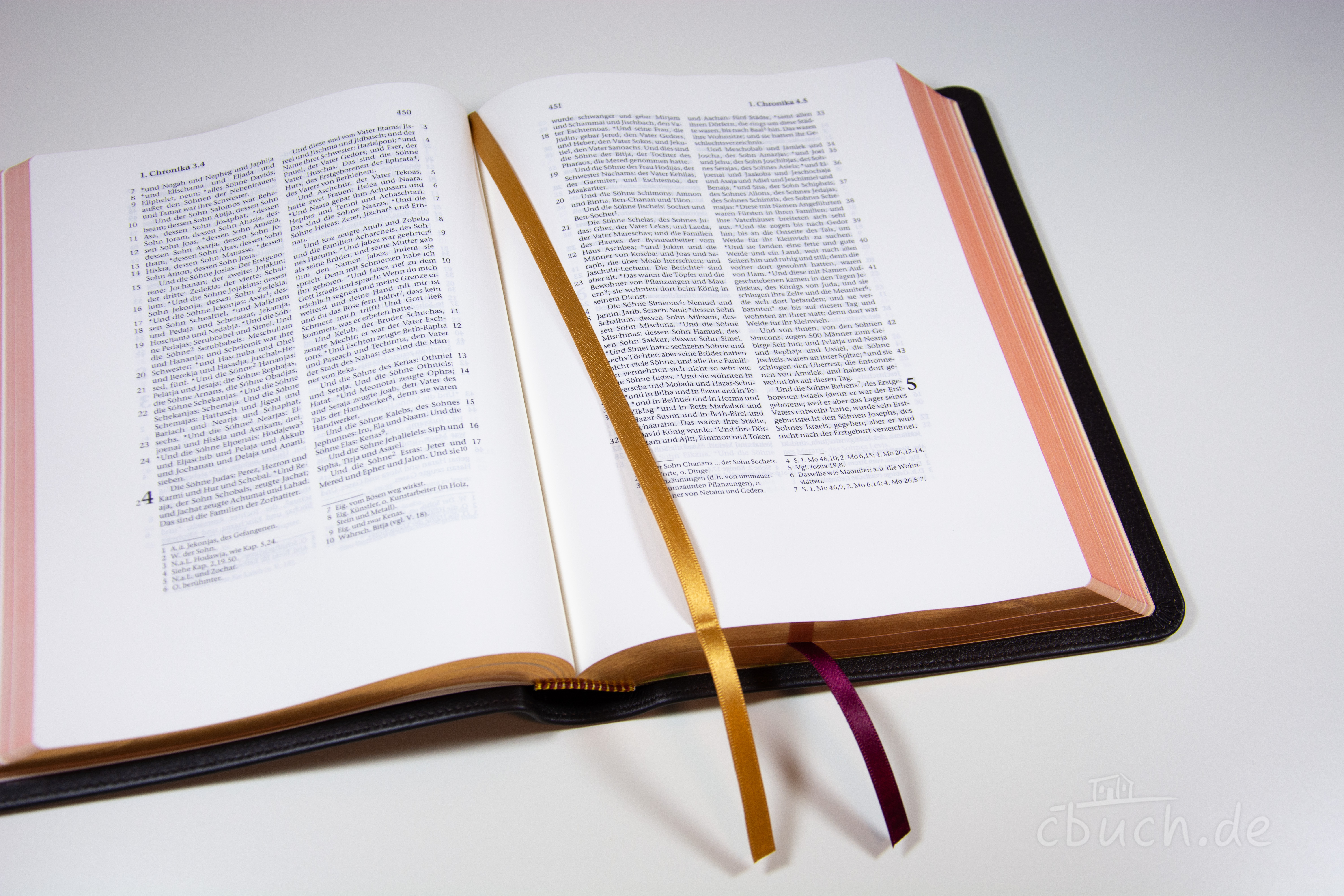 Elberfelder Bibel Edition CSV - Schreibrandbibel, kleinere Ausgabe, Rindleder (weich) dunkelbraun, Rotgoldschnitt Elberfelder Bibel Edition CSV - Schreibrandbibel, kleinere Ausgabe, Rindleder (weich) dunkelbraun, Rotgoldschnitt
