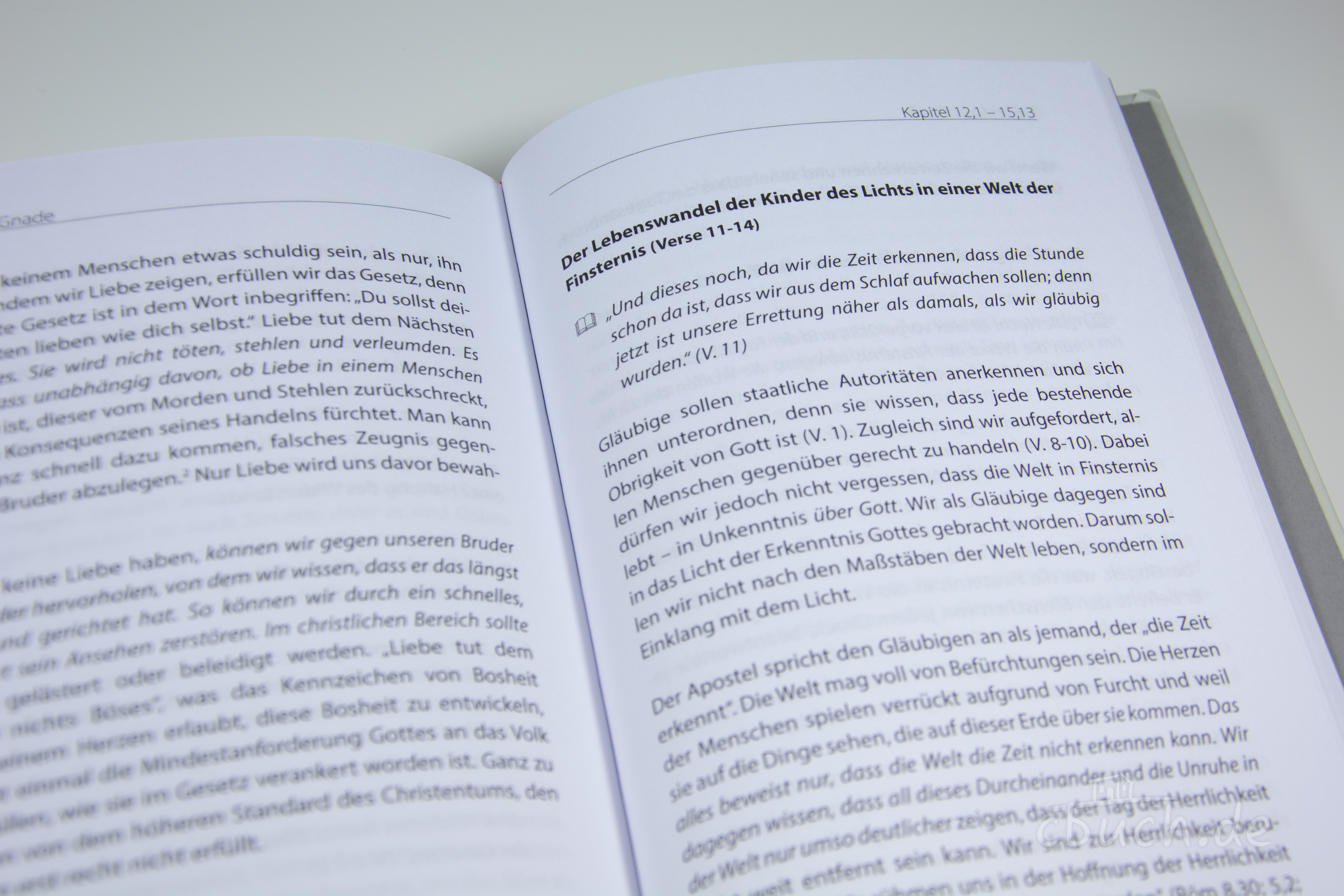 Hamilton Smith: Gerecht aus Gnade