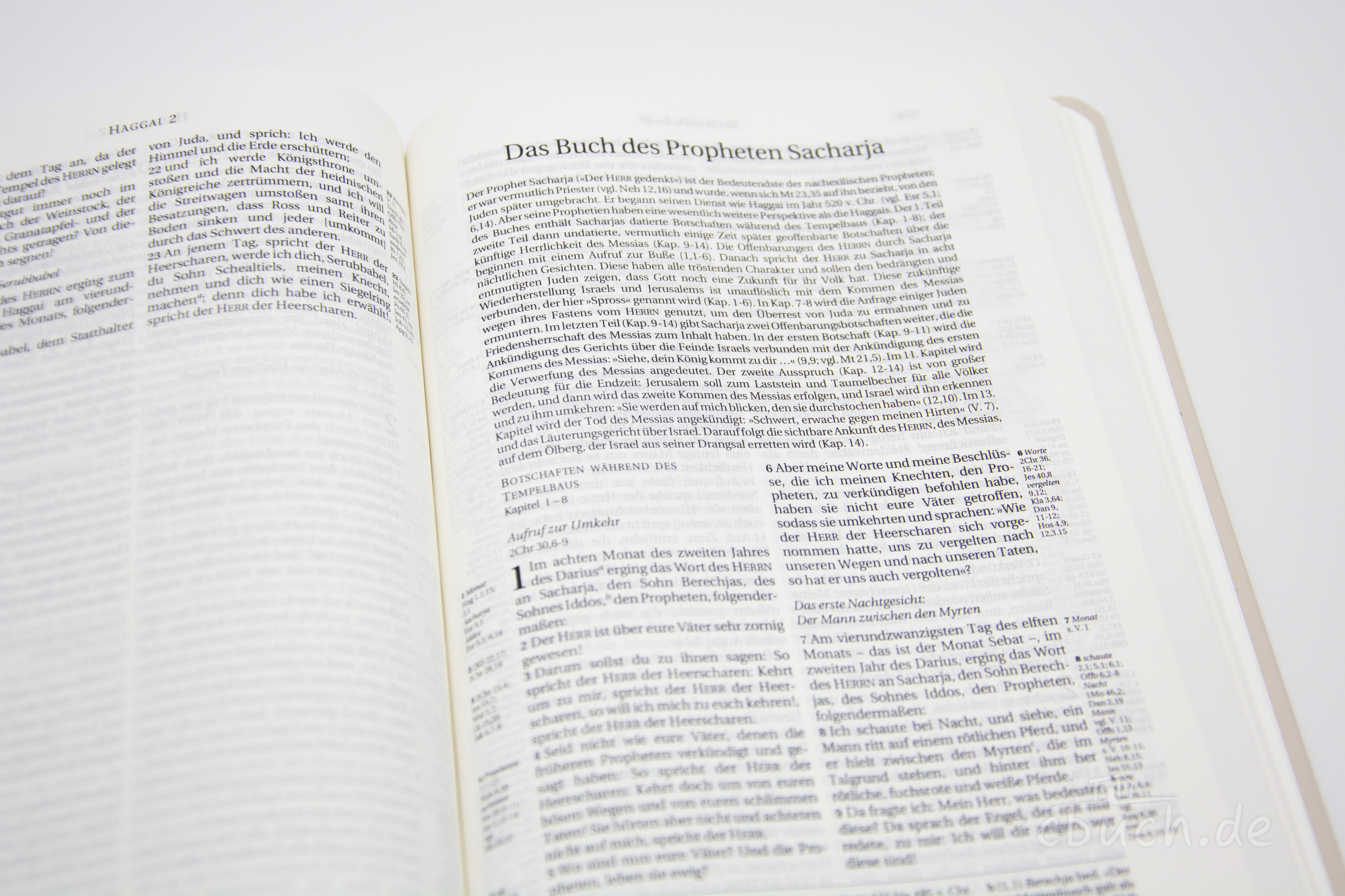 Schlachter 2000 Bibel - Taschenausgabe (Hardcover, farbiger Einband »Floral«) Schlachter 2000 Bibel - Taschenausgabe (Hardcover, farbiger Einband »Floral«)