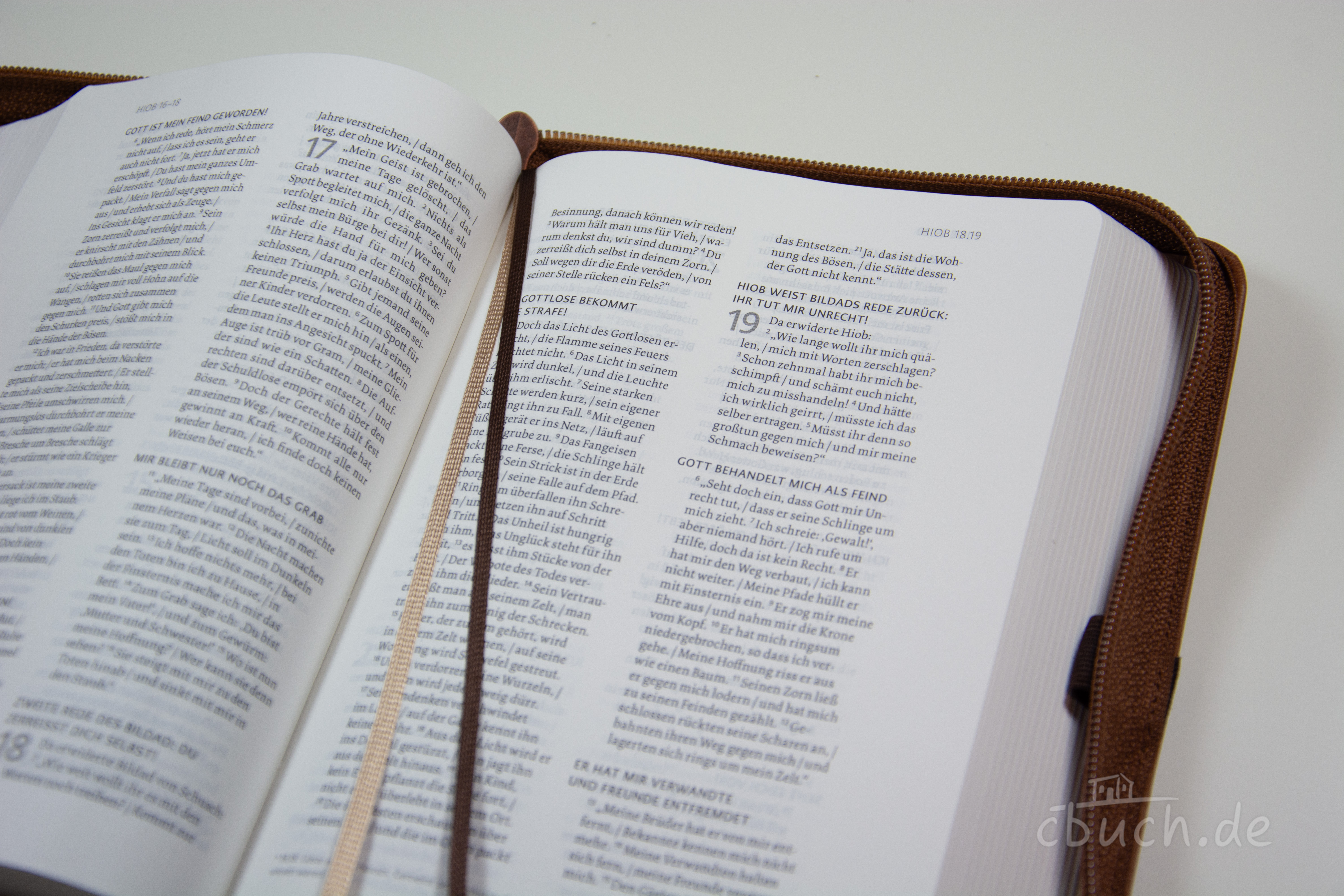 Life Lion Bibel NeÜ bibel.heute - braun