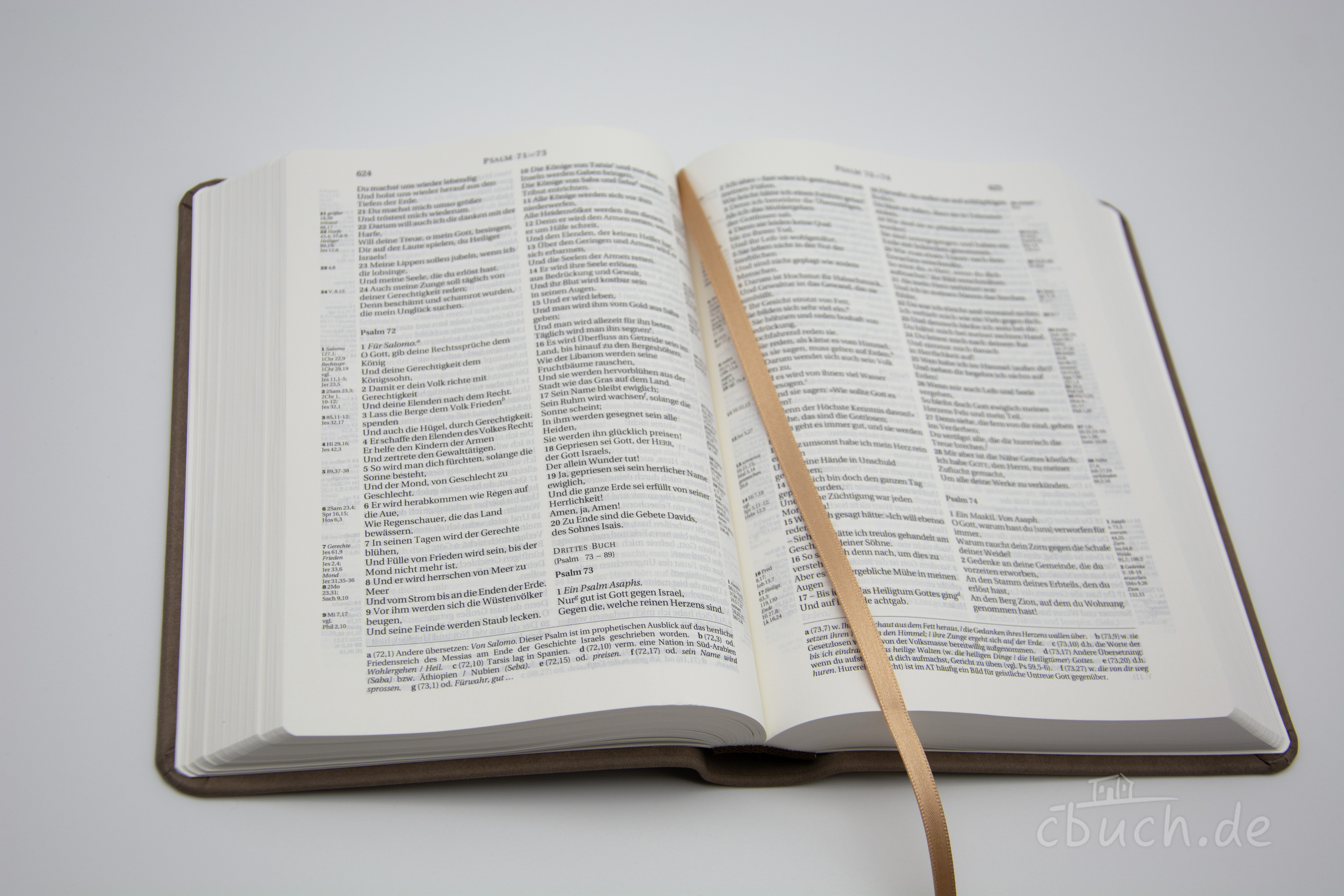 Schlachter 2000 Bibel - Taschenausgabe - Rindleder / Taupe