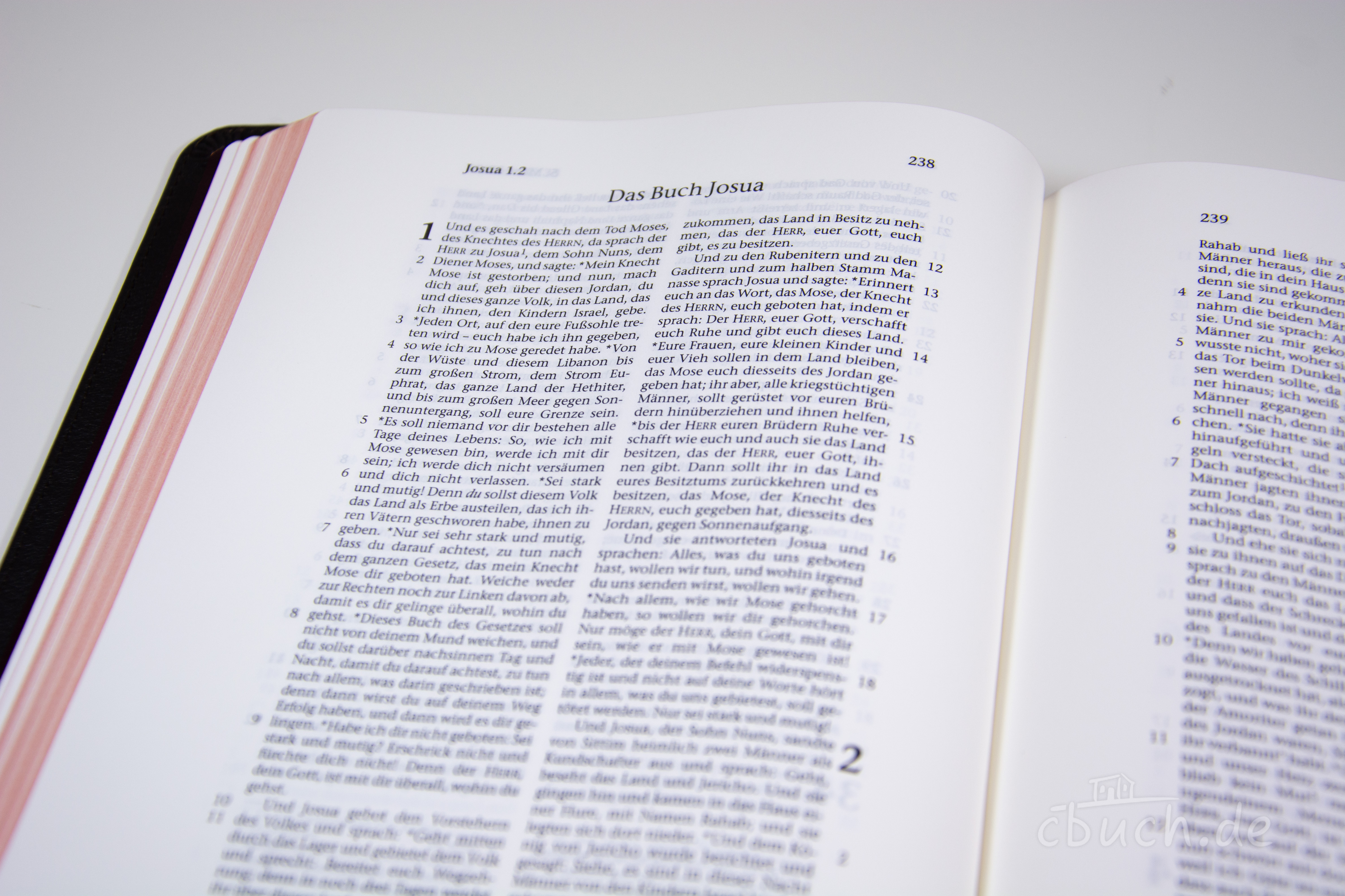 Elberfelder Bibel Edition CSV - Schreibrandbibel, kleinere Ausgabe, Rindleder (weich) dunkelbraun, Rotgoldschnitt Elberfelder Bibel Edition CSV - Schreibrandbibel, kleinere Ausgabe, Rindleder (weich) dunkelbraun, Rotgoldschnitt