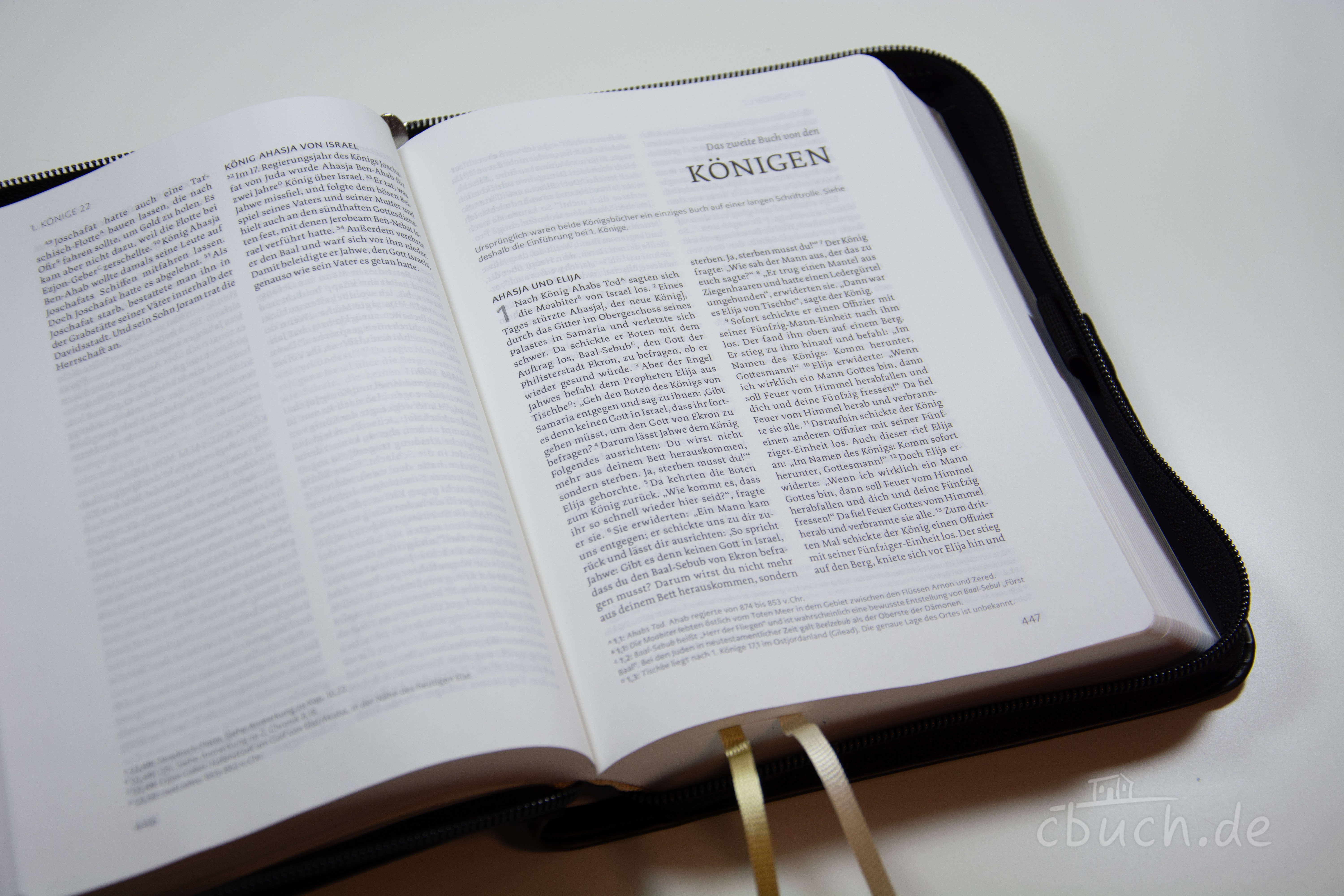 Life Lion Bibel NeÜ bibel.heute - schwarz