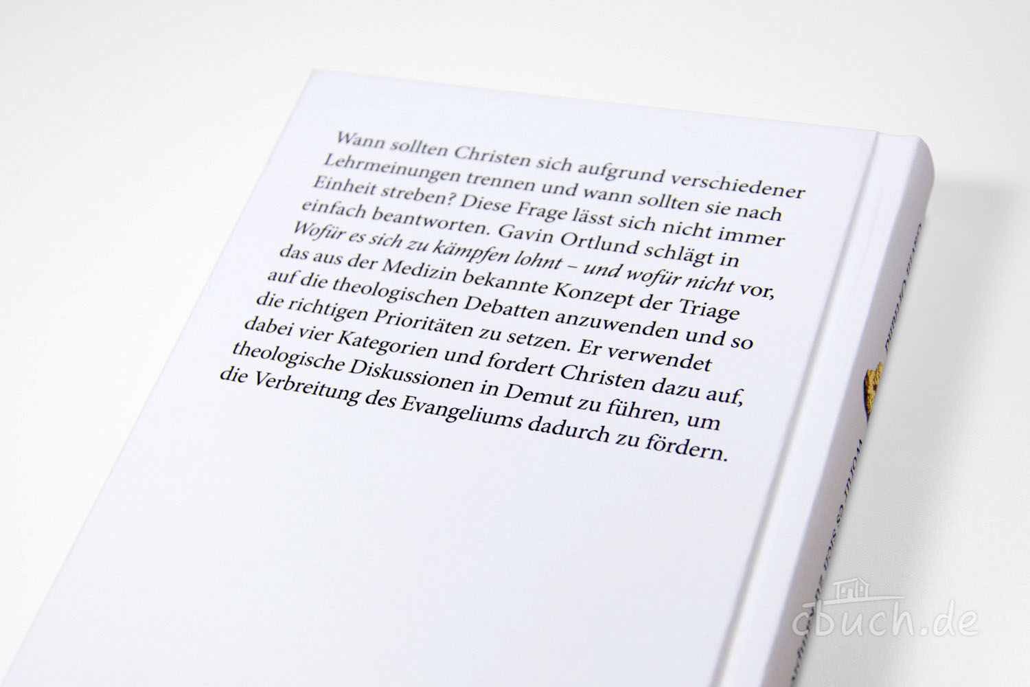 Buchrückseite mit Text zu theologischen Diskussionen und Tri Text auf Buchrückseite über christliche Diskussionen und Pri