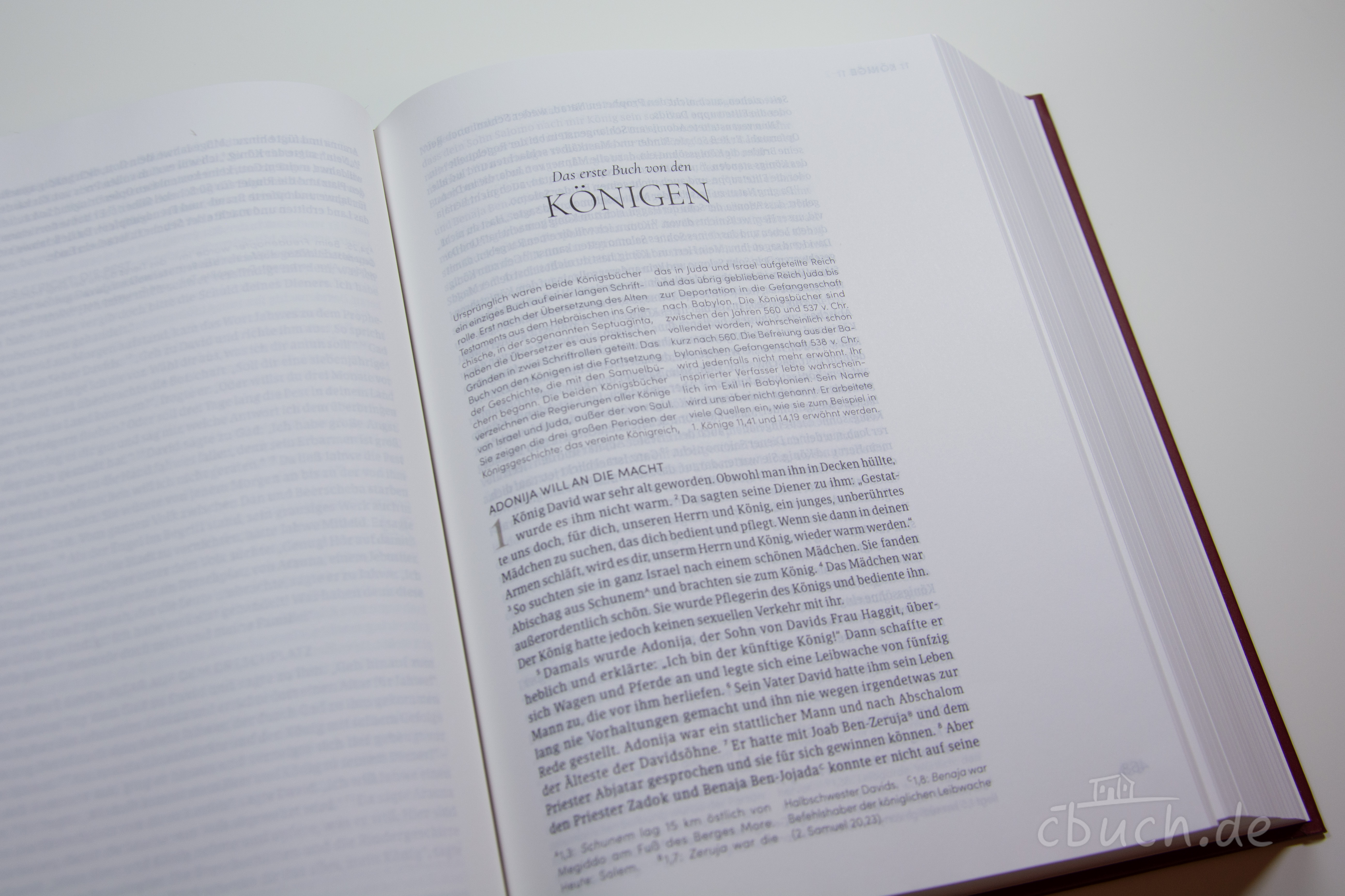 NeÜ LIEBEZURBIBEL (Schreibrandbibel Redeemed)