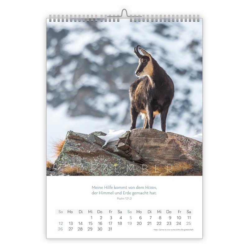 Natur Kalender 2027 - CSV