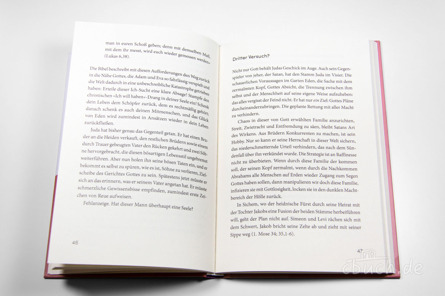 Geöffnetes Buch mit Text über biblische Themen auf Deutsch Offenes Buch zeigt Seiten mit deutschem Text zu religiösen T