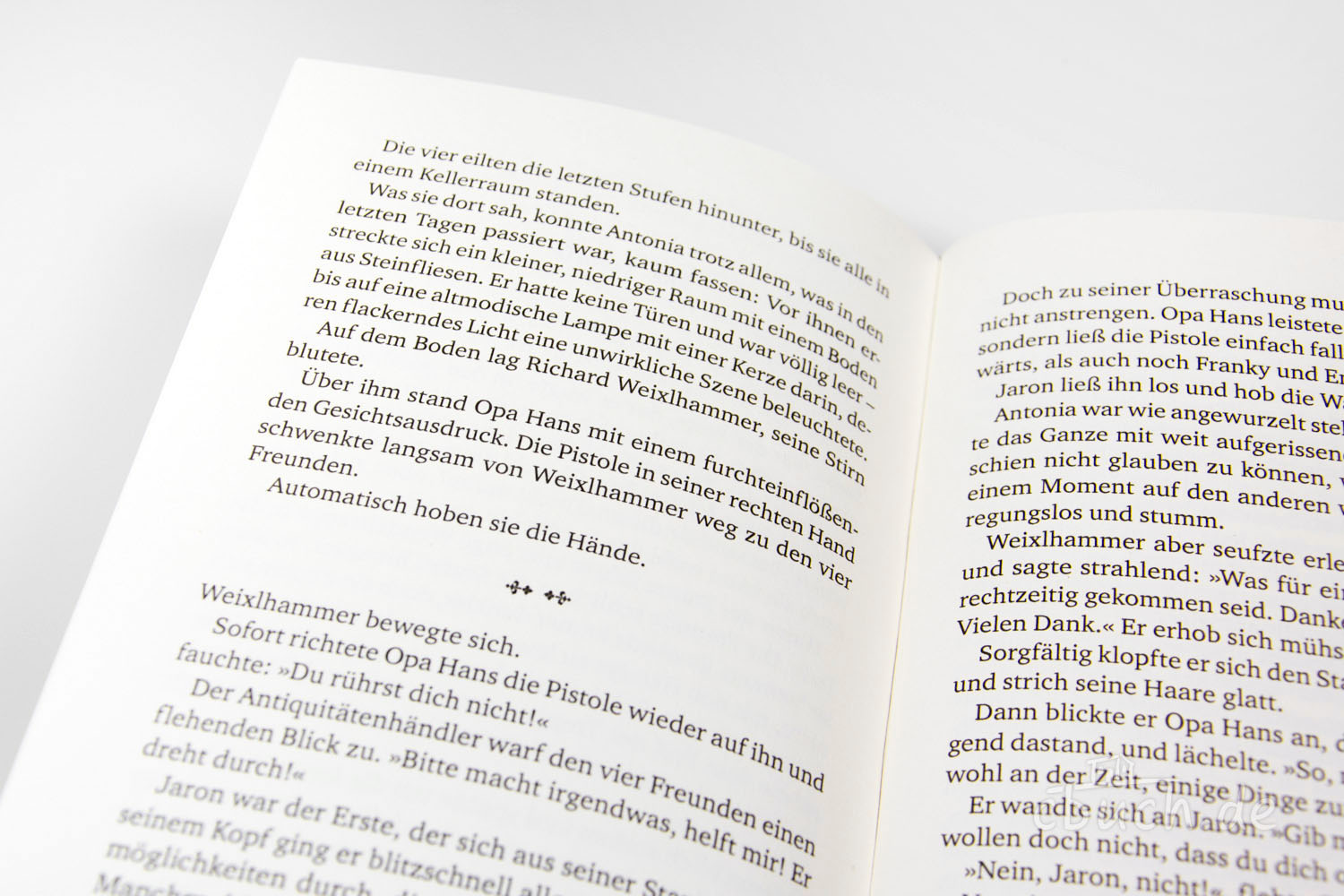 Nahaufnahme eines geöffneten Buchs mit deutschem Text