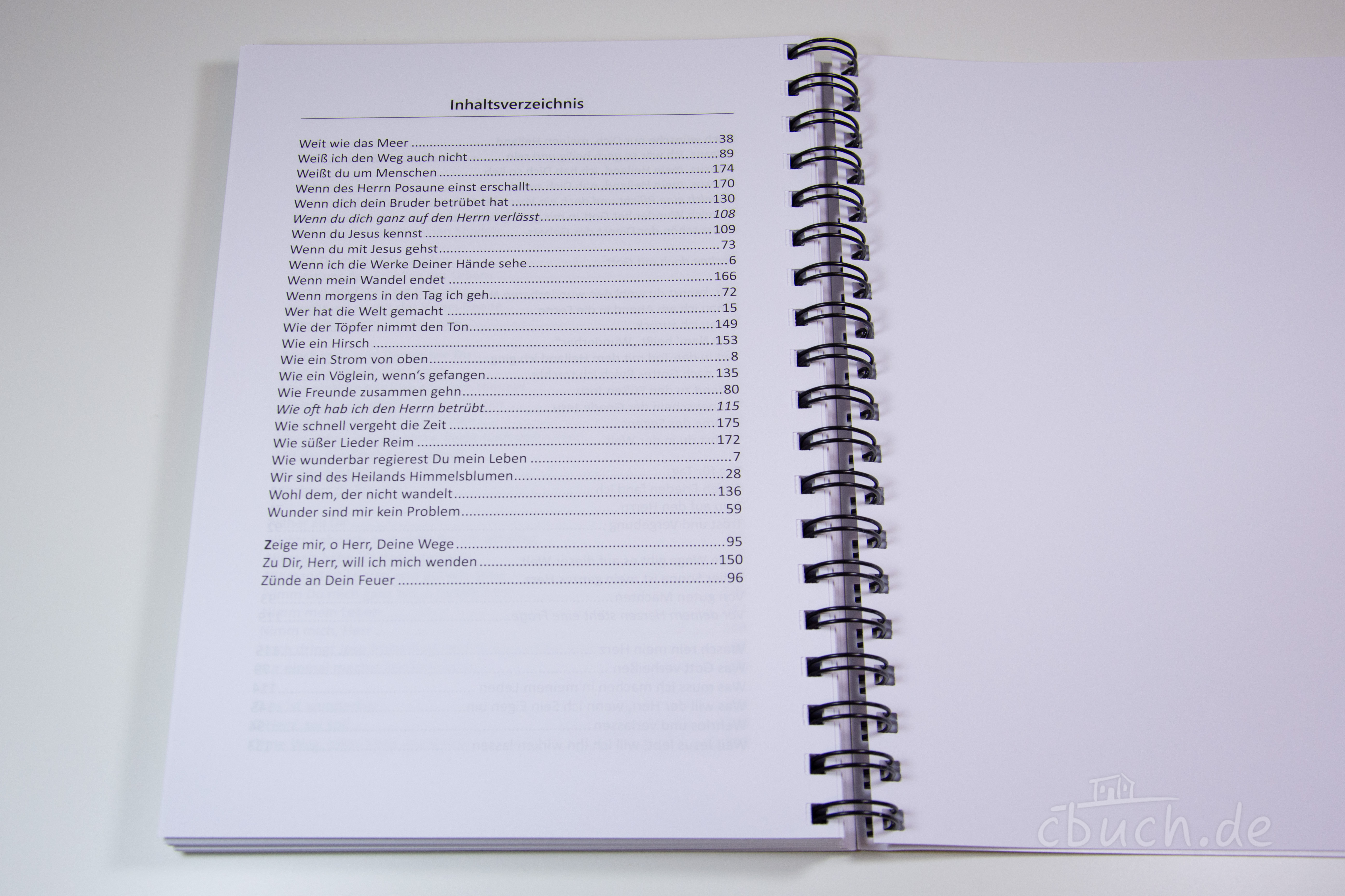 Glücklich sein nur im Herrn - Jugendliederbuch (Ringbuch)