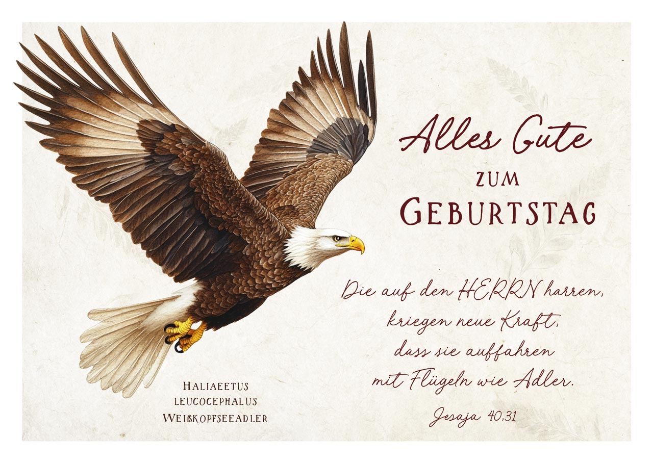 Postkarte Geburtstag Adler Postkarte Geburtstag Adler