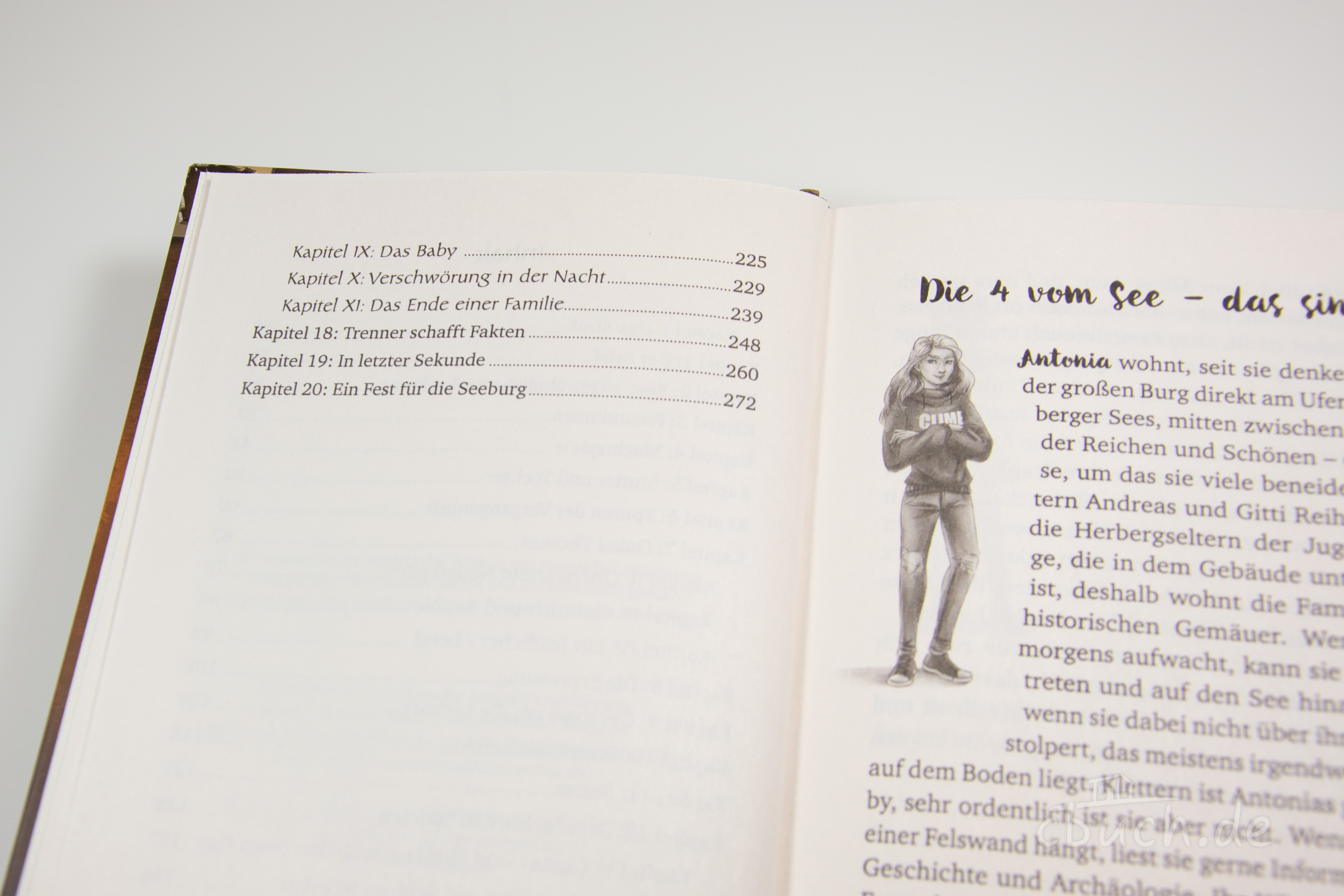 Lombardi/Binder: Das Erbe der Seeburg Lombardi/Binder: Das Erbe der Seeburg