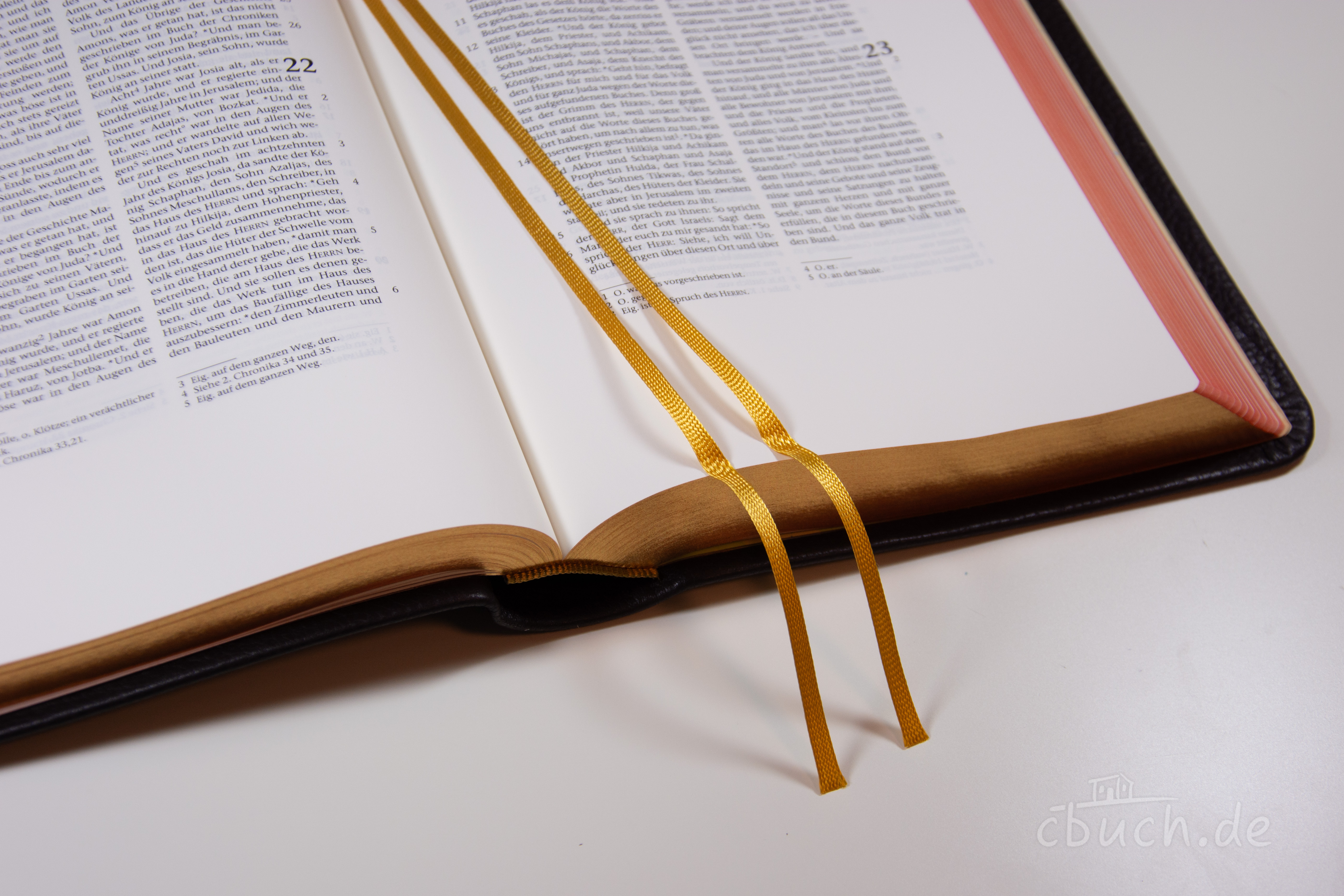 Elberfelder Bibel Edition CSV - Schreibrandbibel, größere Ausgabe, Rindleder (weich) dunkelbraun, Rotgoldschnitt