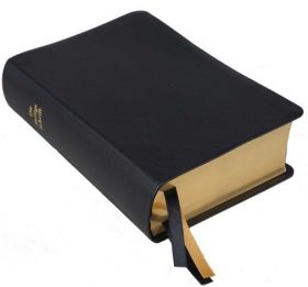 Elberfelder Bibel Edition CSV - Standardausgabe Premium-Rindleder, dunkelbraun, Rot-Goldschnitt 